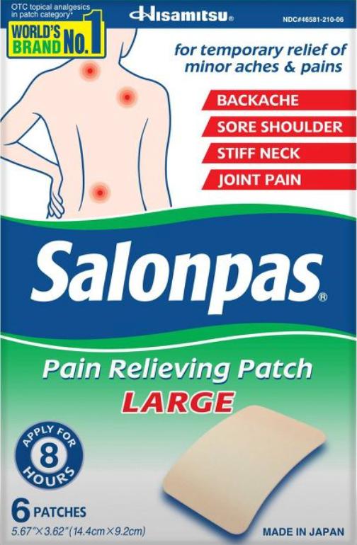 히사미추 대형 14 x 9cm 살론파스 6매