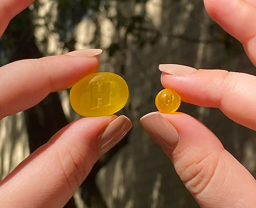 5+ 홀스 슈가-프리 기침•인후통 미니 드롭 레몬맛 24정 8개 (192정)